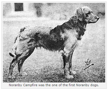 Click for larger image: 