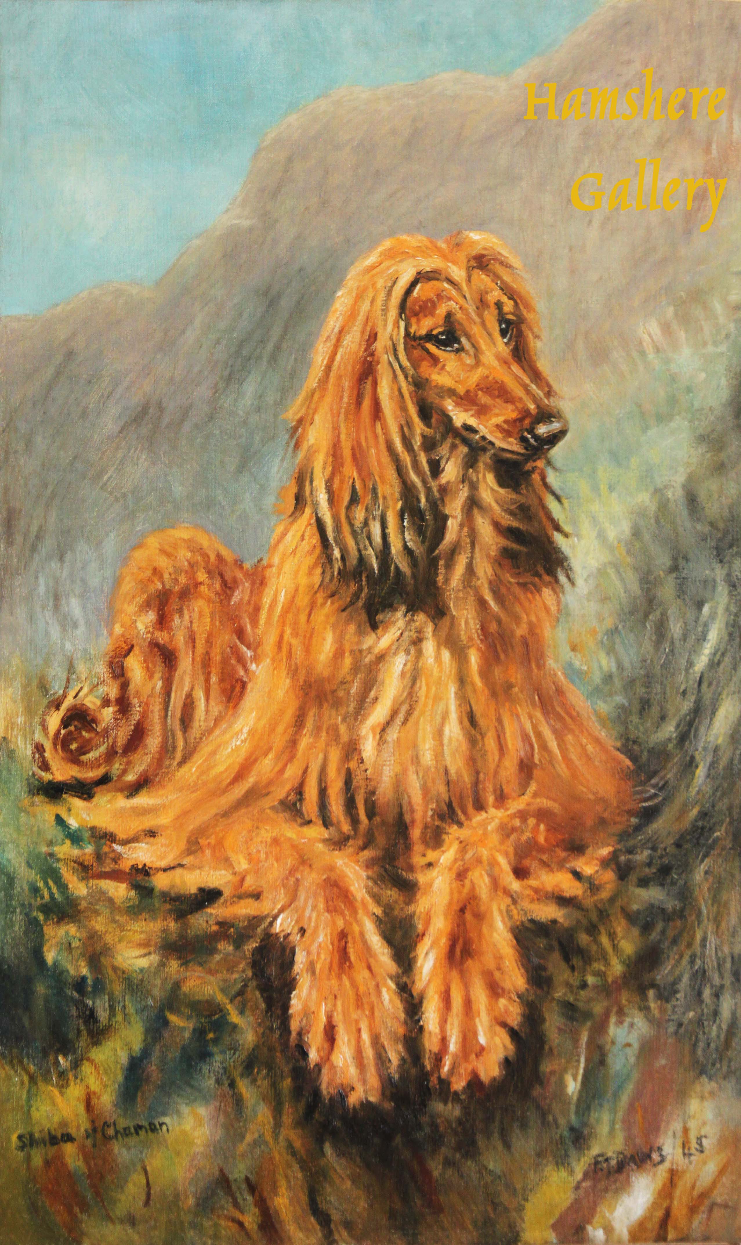 Click to see full size: Afghan Hound â€œShiba of Chamanâ€ by Thomas Frederick Daws RA (1878-1956)