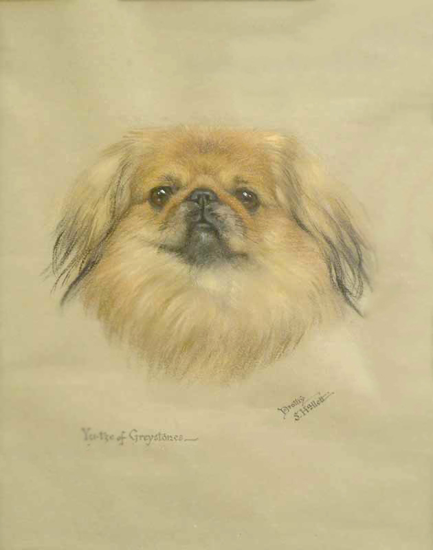 Click to see full size: Pekingese by Miss Dorothy S Hallett (fl 1913-1934)- Pekingese by Miss Dorothy S Hallett (fl 1913-1934)