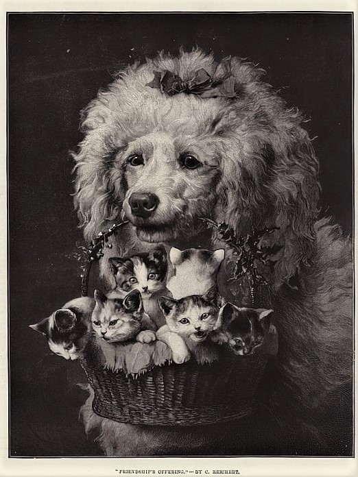 Click for larger image:  - 