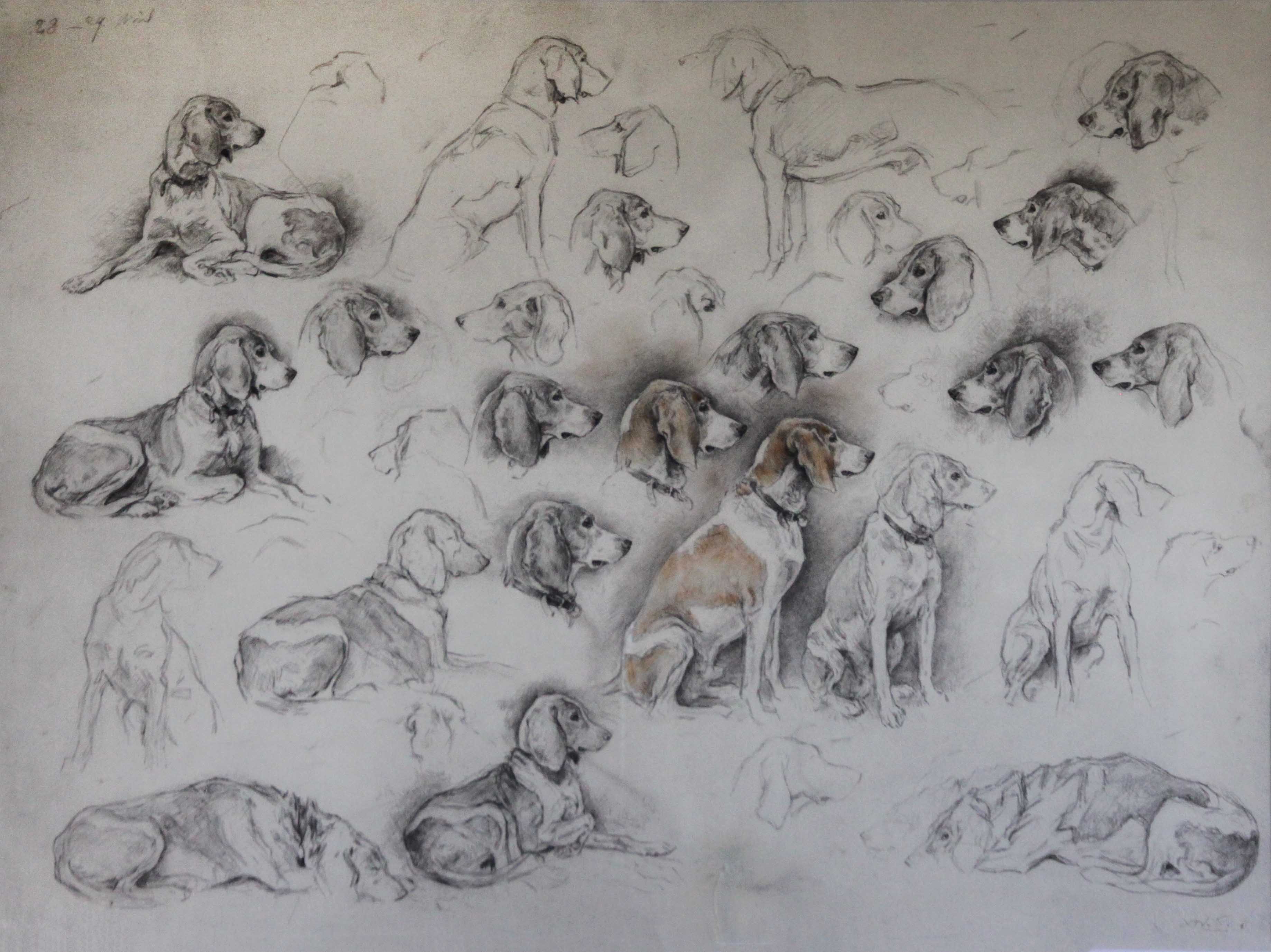 Click to see full size: â€œChien de Meuteâ€, French hunting hounds pencil with watercolour drawing by Xavier de Poret (French, 1894 - 1975)