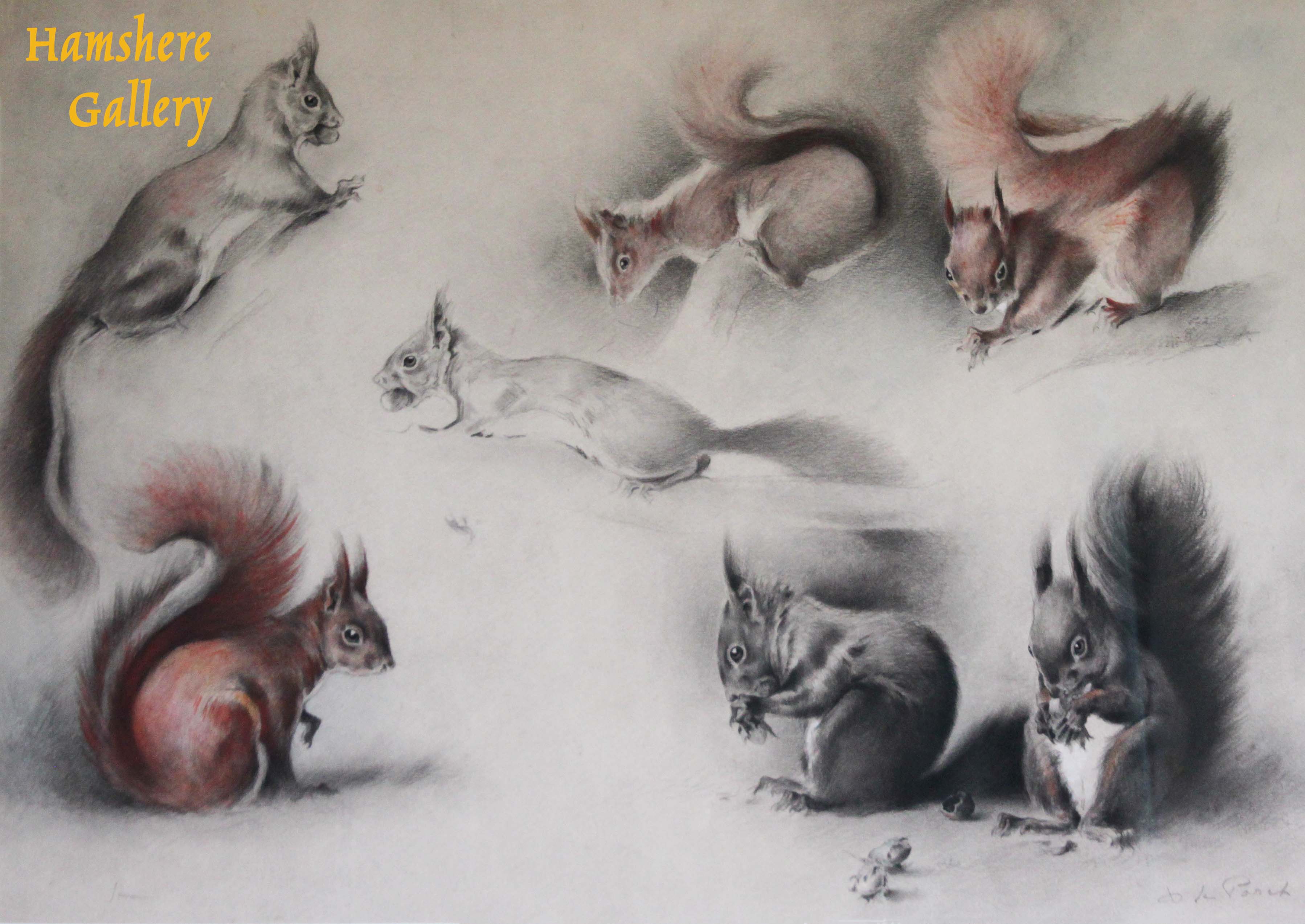 Click to see full size: â€œÃ‰cureuilsâ€, Red Squirrel pencil with watercolour drawing by Xavier de Poret (French, 1894 - 1975)