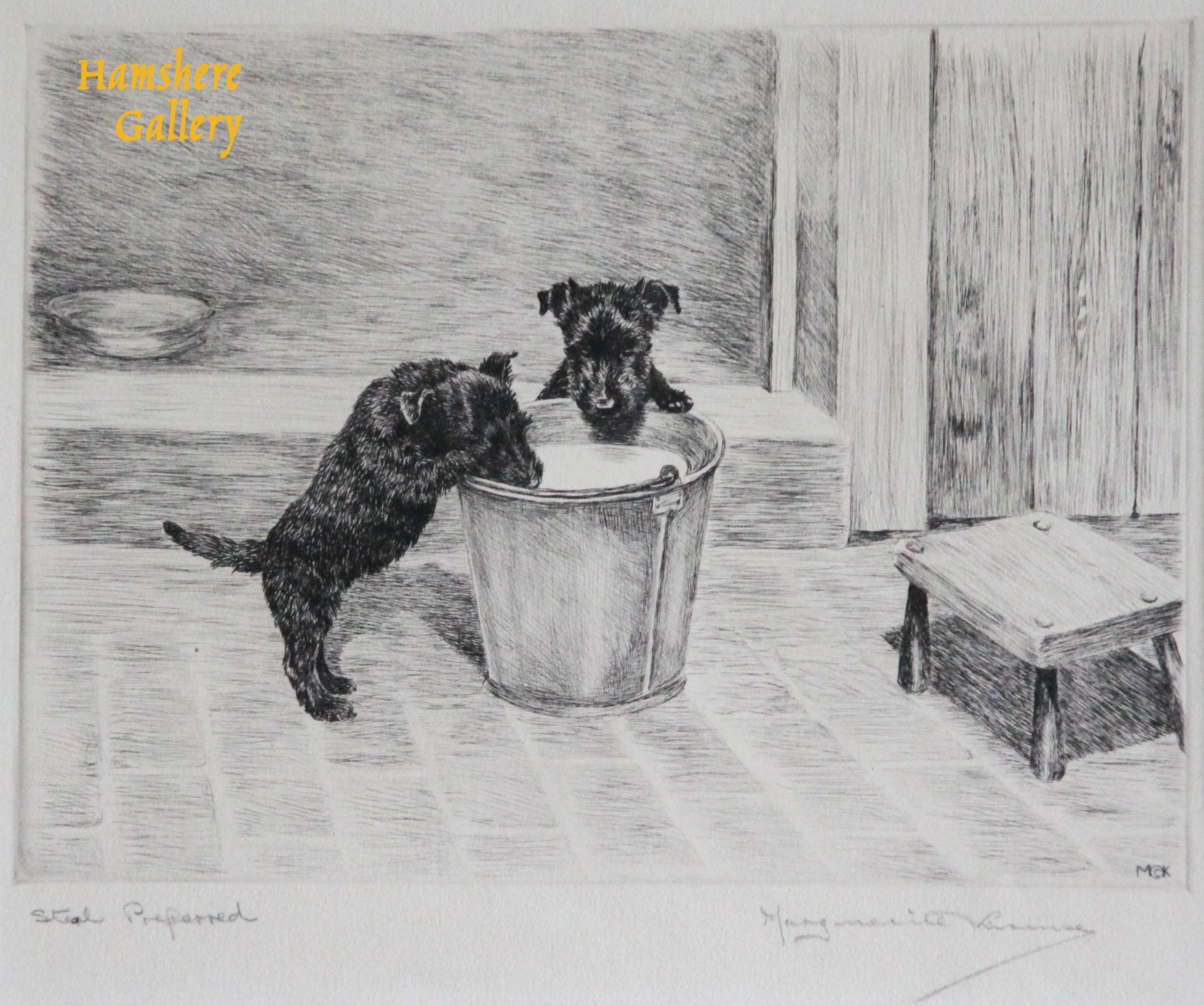 Click to see full size: Scottish Terrier dry-point etching - Scottish Terrier dry-point etching 