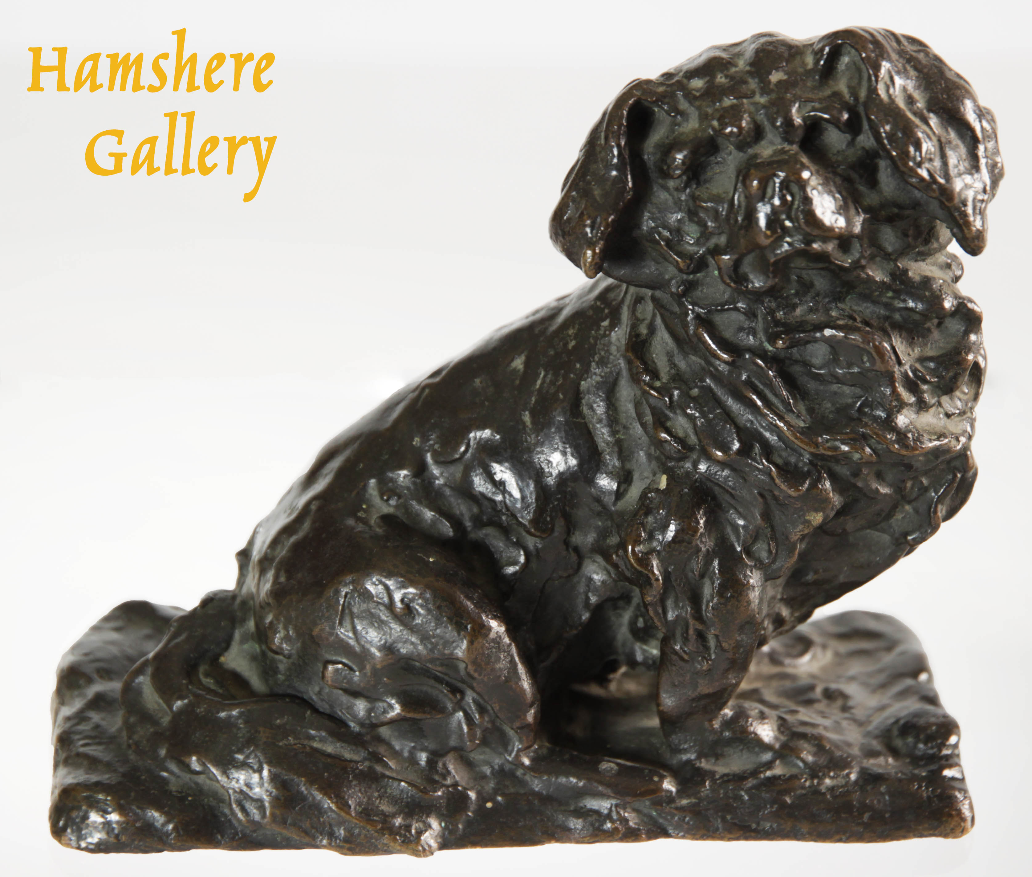 Click to see full size: 19th century bronze of a seated Tibetan Spaniel- 19th century bronze of a seated Tibetan Spaniel
