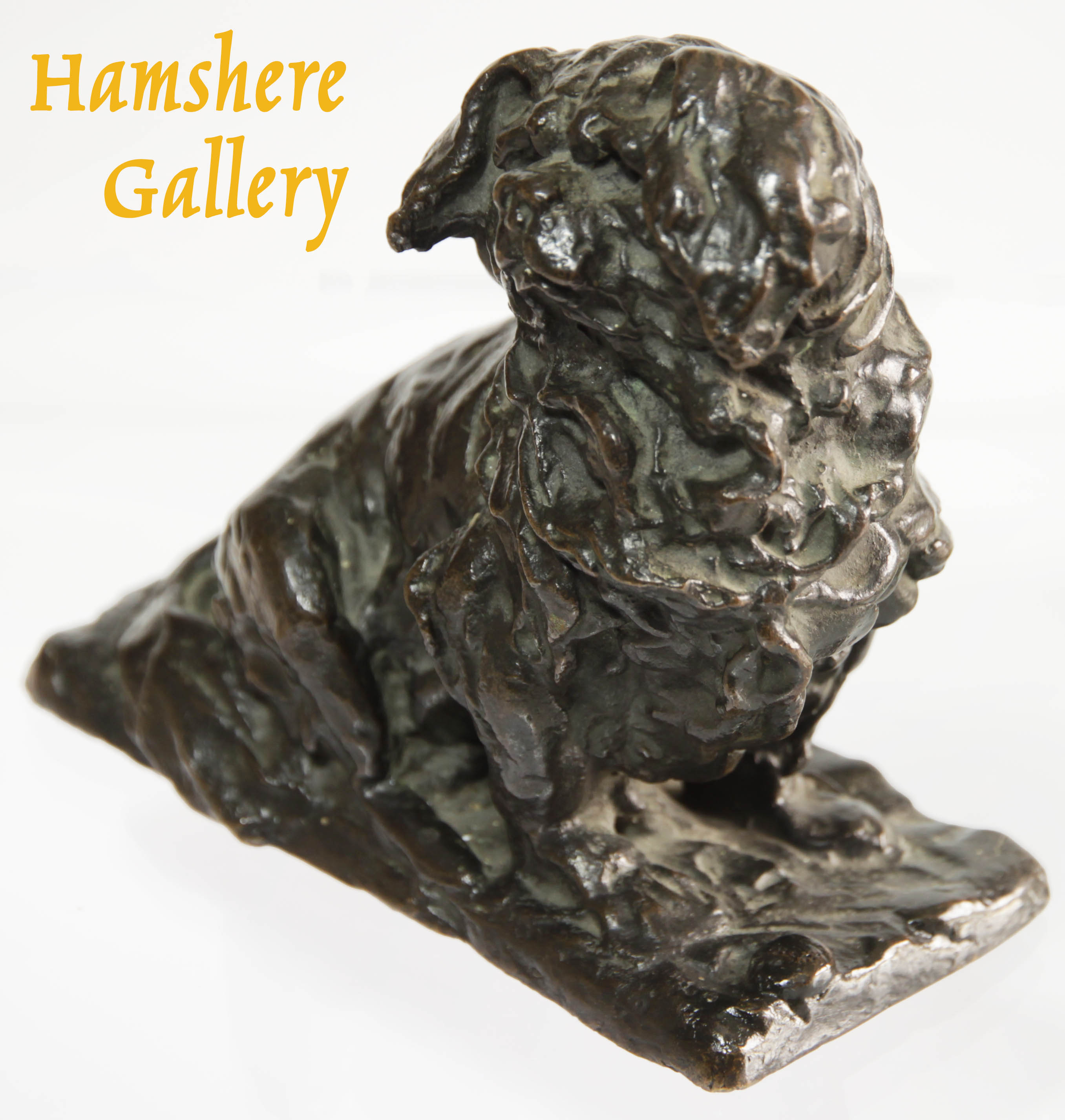 Click to see full size: 19th century bronze of a seated Tibetan Spaniel- 19th century bronze of a seated Tibetan Spaniel