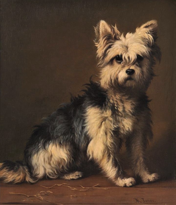 Click to see full size: An oil of a seated Yorkshire Terrier by Daniel Adolphe Robert Jones (Belgian, 1806-1874)