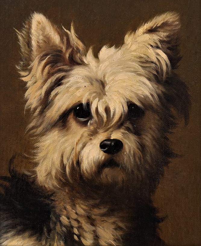 Click for larger image: An oil of a seated Yorkshire Terrier by Daniel Adolphe Robert Jones (Belgian, 1806-1874) - An oil of a seated Yorkshire Terrier by Daniel Adolphe Robert Jones (Belgian, 1806-1874)