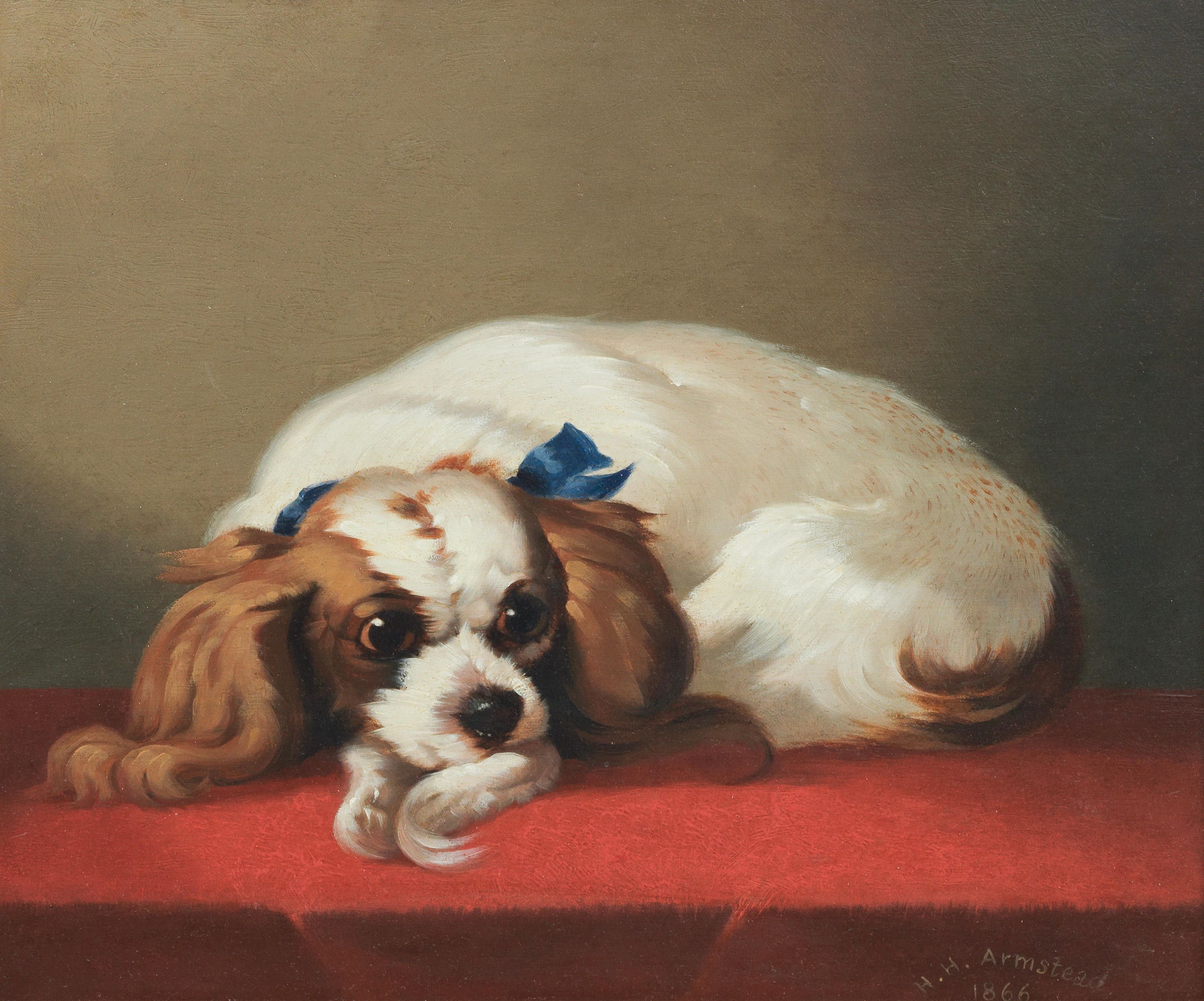 Click for larger image: An oil of a Blenheim King Charles Spaniel Signed by Henry Hugh Armstead RA (English, 1828 - 1905) - An oil of a Blenheim King Charles Spaniel Signed by Henry Hugh Armstead RA (English, 1828 - 1905)