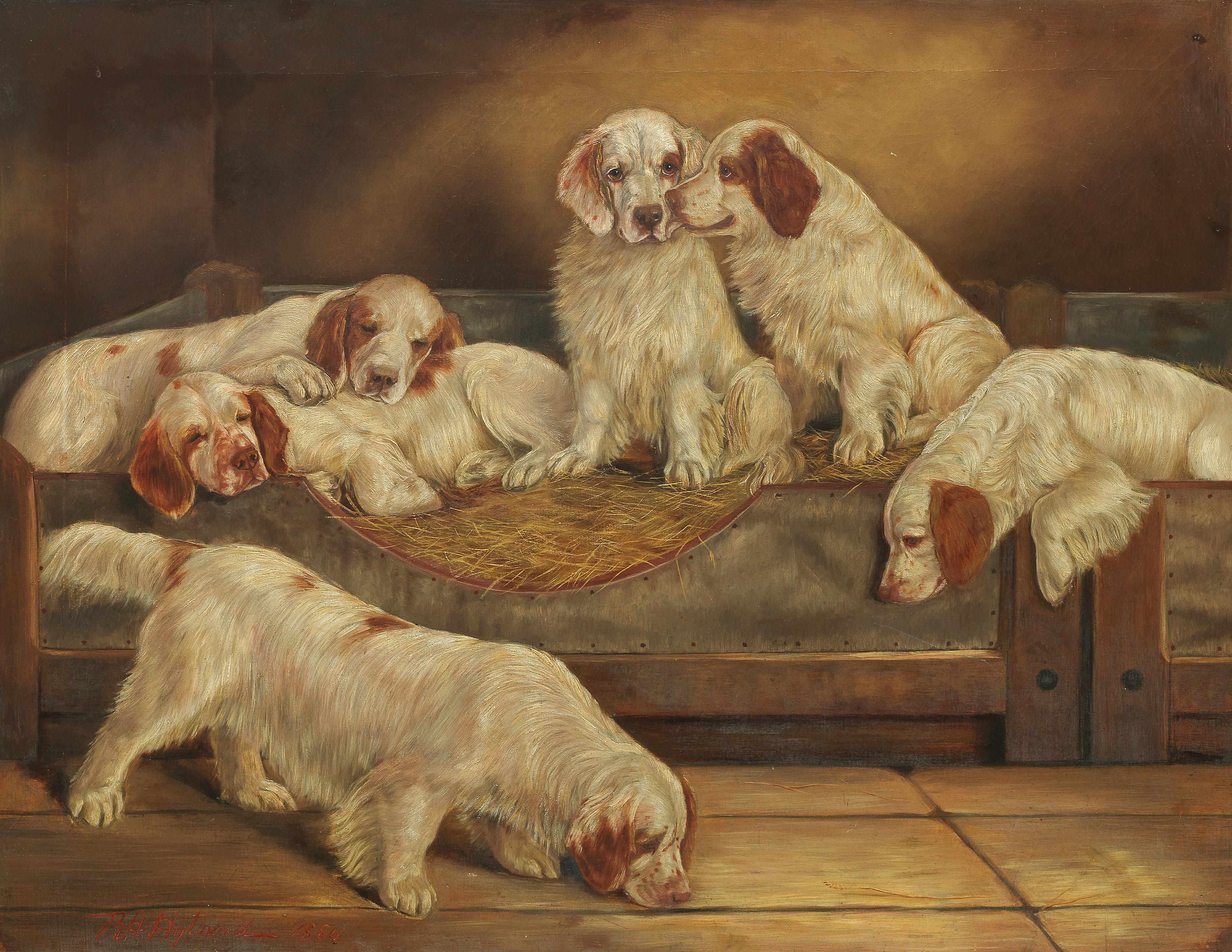 Click to see full size: The Duke of Portland Clumber Spaniels at Welbeck Abbey by Benedict Angell Hyland (English, 1859-1933)