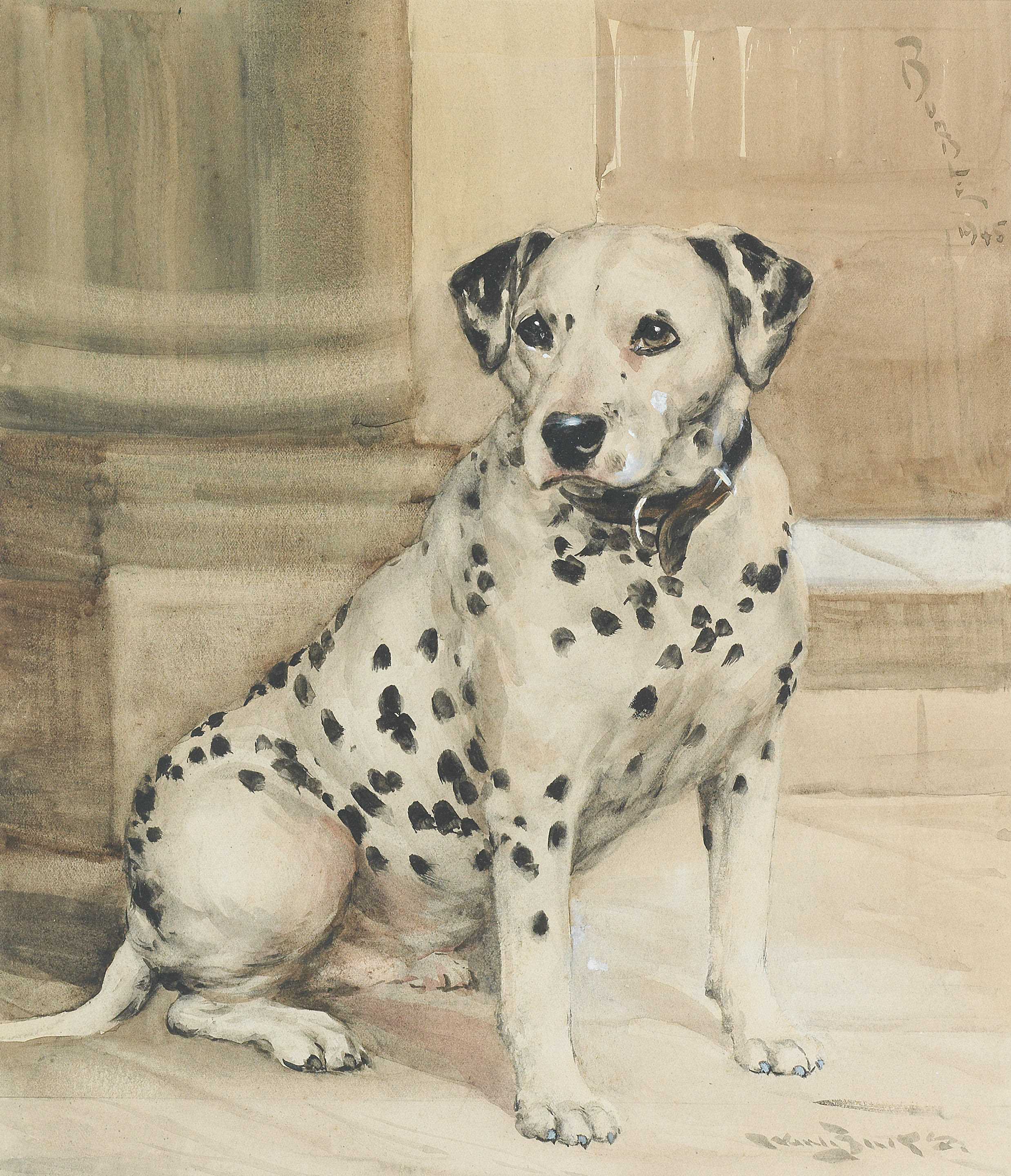 Click to see full size: A watercolour of Bumble a Dalmatian by Reuben Ward Binks (English, 1880 - 1950)