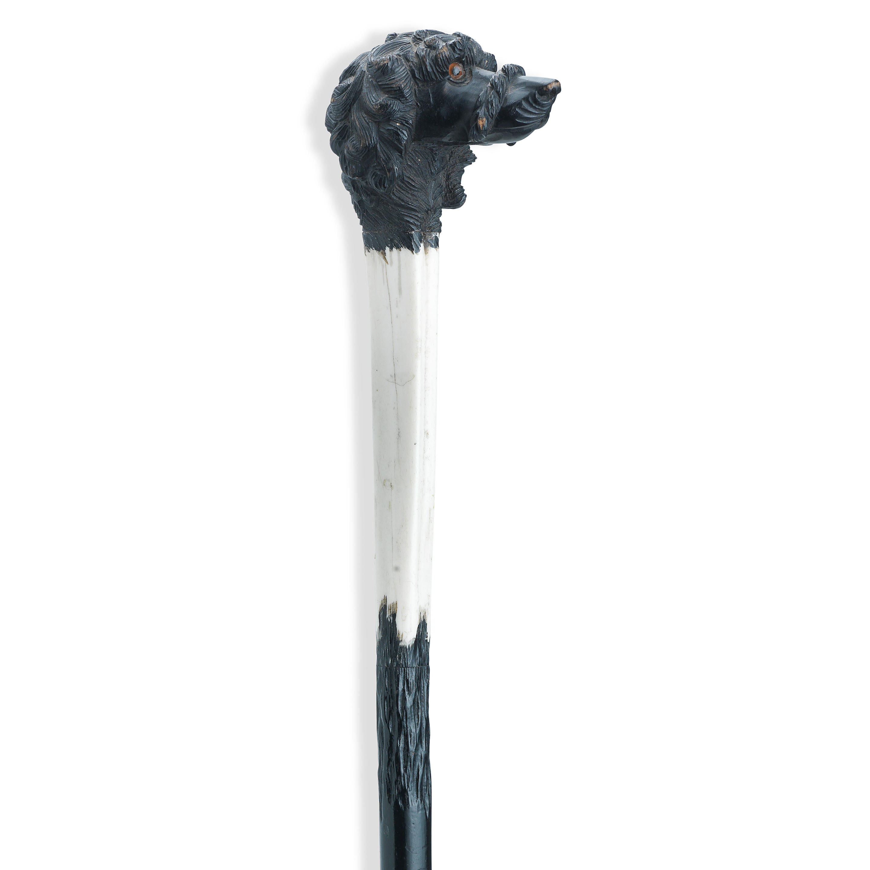 Click to see full size: A late 19th century ebony and ivory Poodle cane / walking stick