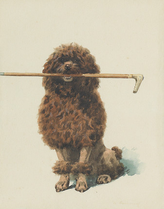 Click for larger image: Watercolour of Poodle with cane by Charles Ferdinand de Condamy (1855 - 1913) - Watercolour of Poodle with cane by Charles Ferdinand de Condamy (1855 - 1913)