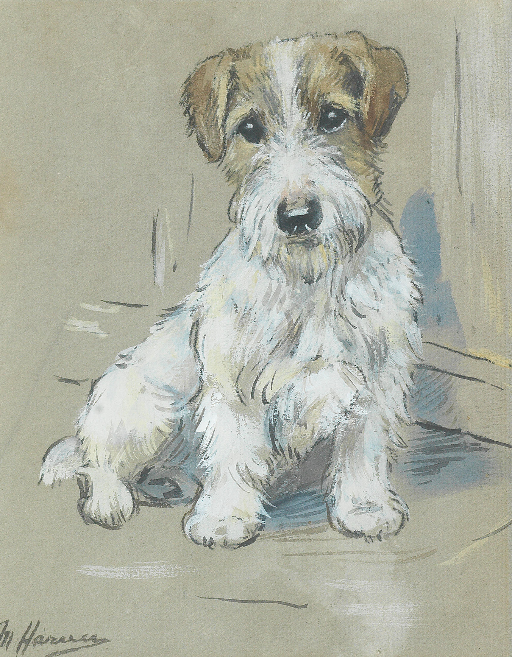 Click to see full size: A Sealyham Terrier watercolour with white heightening by Marion Rodger Harvey (Scottish, 1886-1971)