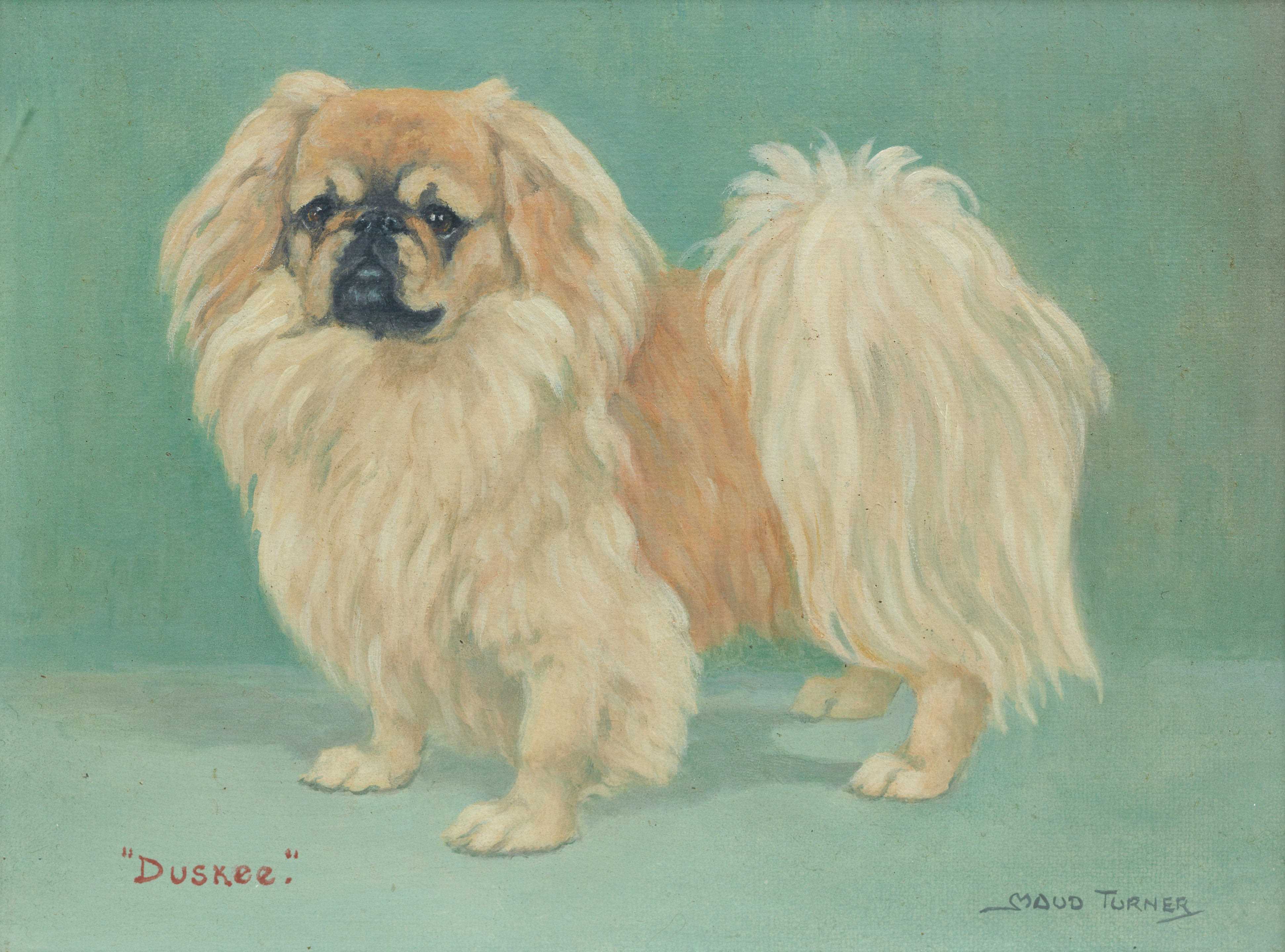 Click to see full size: The Pekingese standing, Duskee of Tzumiao by Miss Maud M Turner (English, 1862 - 1947)