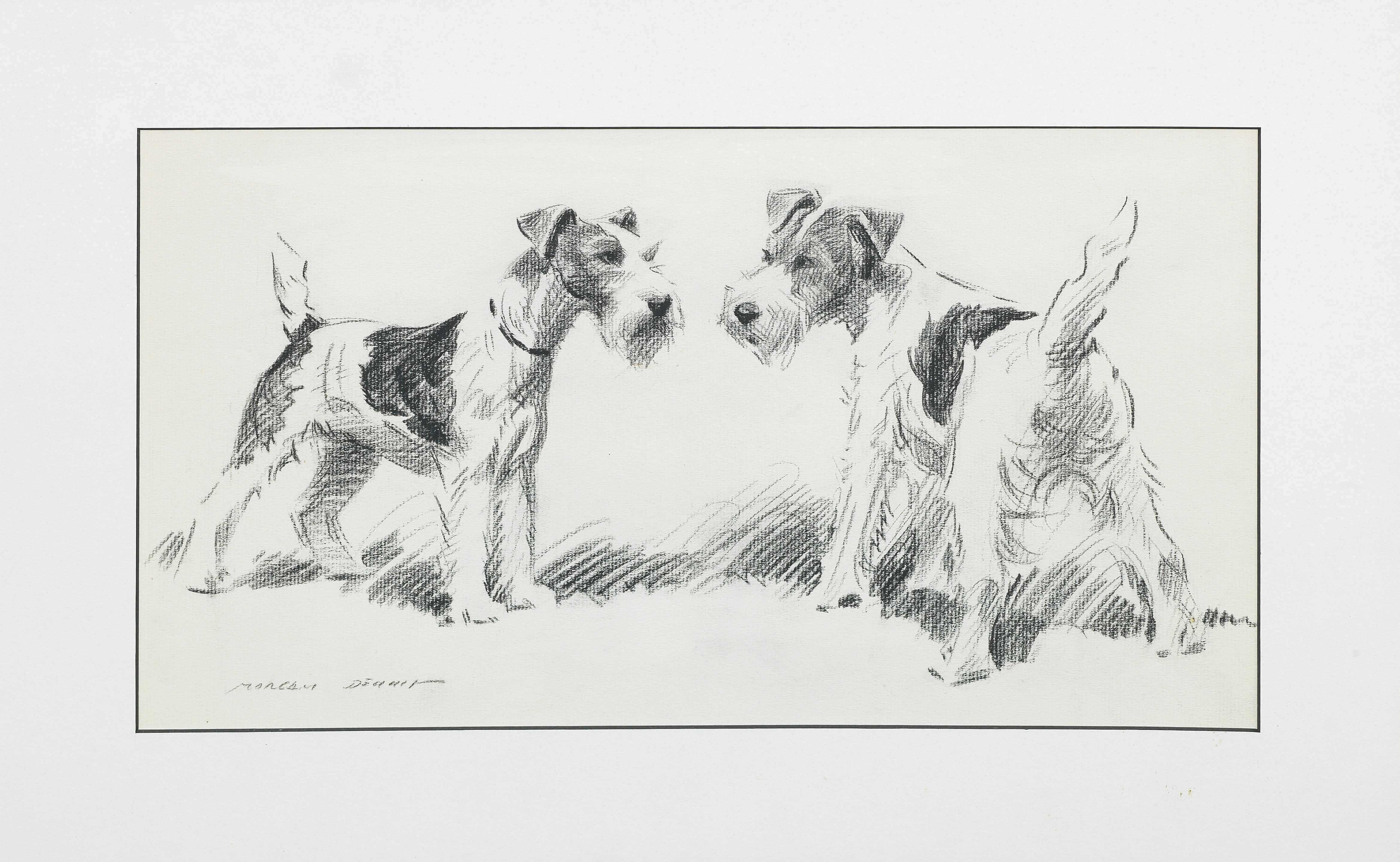 Click for larger image: Wire-haired Fox Terrier drawing by Morgan Dennis (American, 1892-1960) - Wire-haired Fox Terrier drawing by Morgan Dennis (American, 1892-1960)