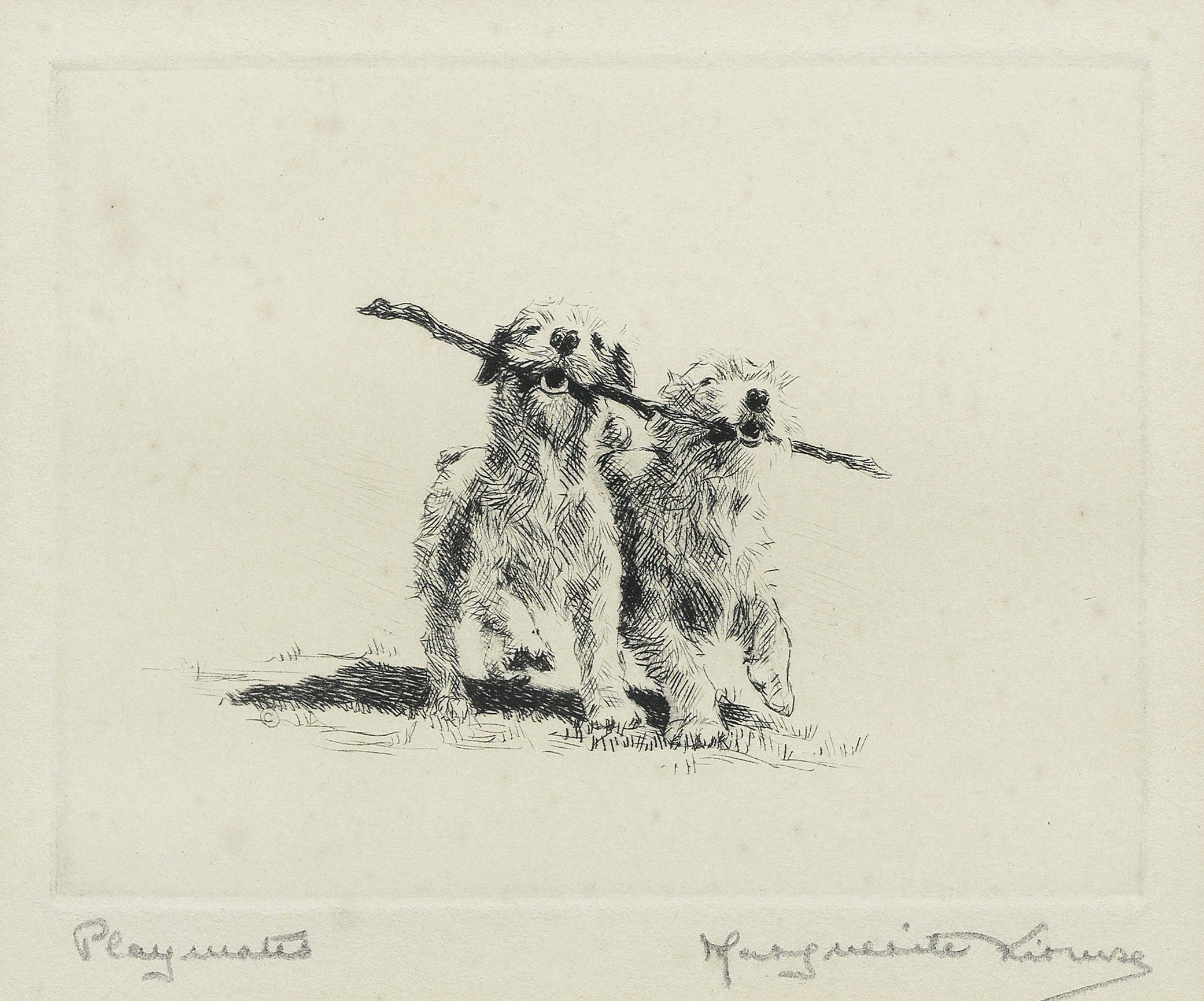 Click to see full size: Irish Terrier dry-point etching 