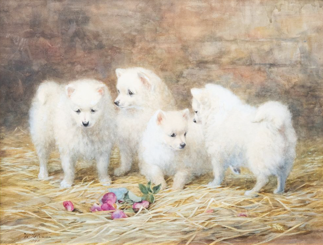 Click to see full size: 19th century Samoyed puppy watercolour by Frances C Fairman (English, 1836-1923)