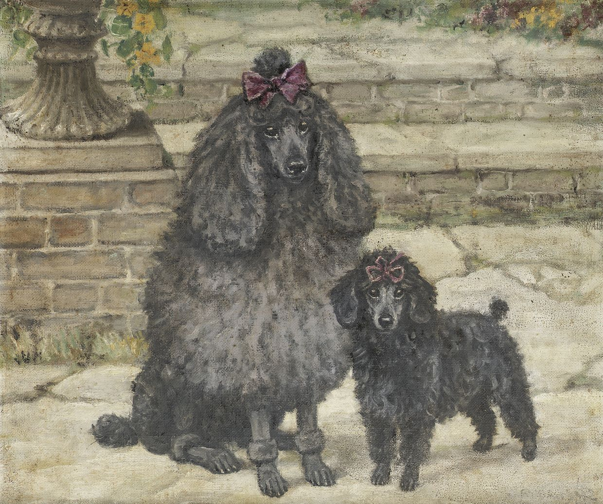 Click to see full size: Mannerhead Poodles